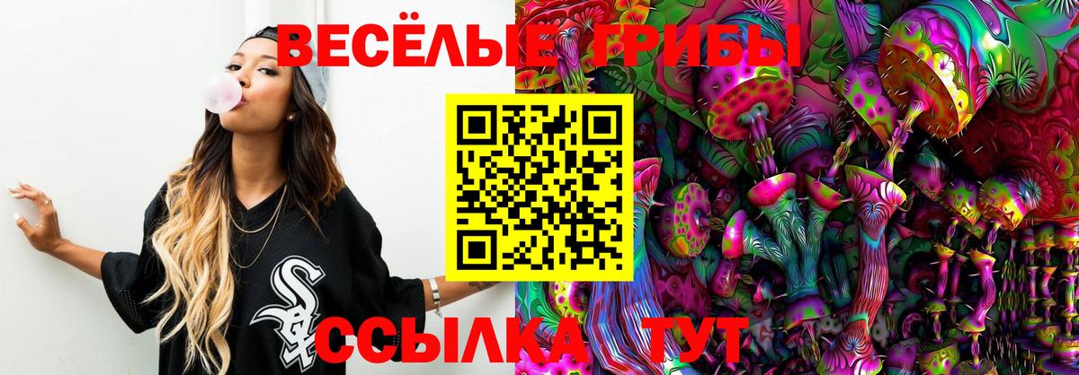 Псилоцибиновые грибы ЛСД Сызрань